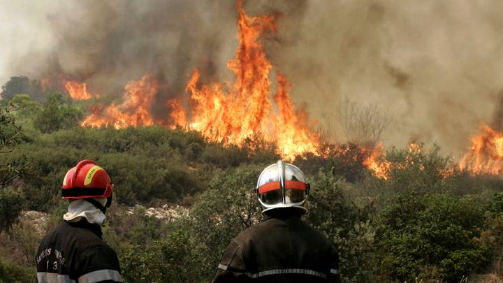 France: Le premier grand incendie de l'année maîtrisé, 930 hectares parcourus