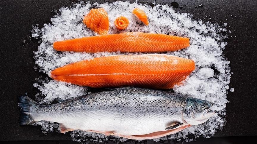 Le montant des exportations de saumon turc en hausse de 77% au premier trimestre 2023