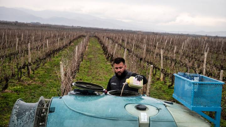 La France condamnée en justice pour usage de pesticides, décision "historique" selon les ONG