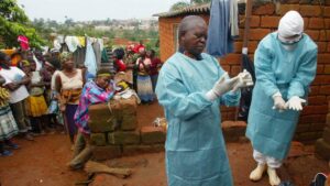 L'OMS déclare la fin de l’épidémie du virus de Marburg en Guinée équatoriale