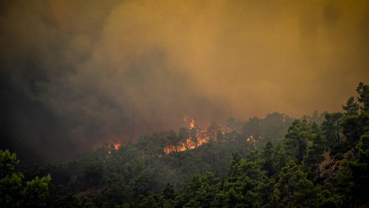 Feux de forêt: la Grèce remercie la Turquie pour son aide