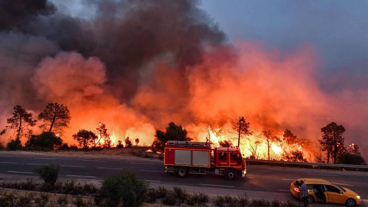 Vagues de feux de forêt en Méditerranée: plusieurs morts et des milliers d'évacués
