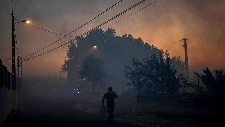 Les feux de forêt font rage en Italie et en Haute-Corse, plusieurs morts