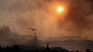 Incendies en Grèce: l'écosystème "en danger", selon des experts