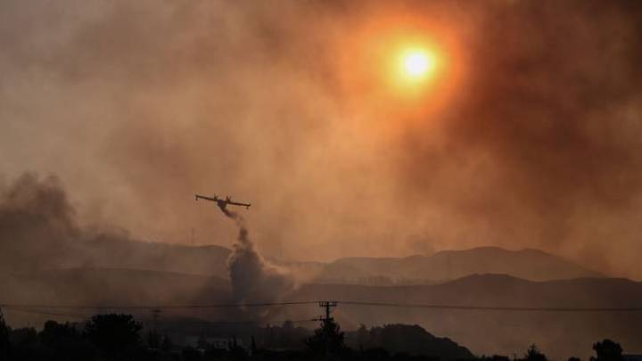 Incendies en Grèce: l'écosystème "en danger", selon des experts