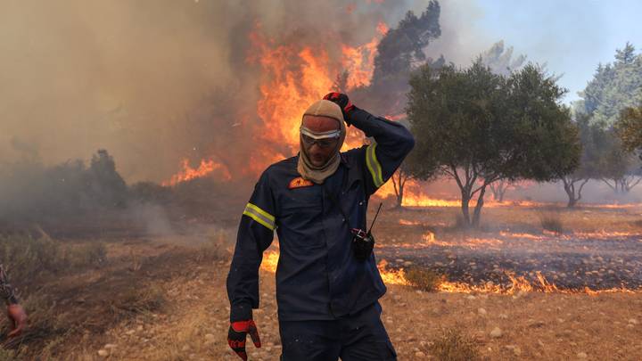 Incendies : Comment sont provoqués les feux de forêts ?