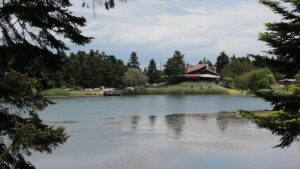 Türkiye : Plus de 100 mille personnes ont visité la ville de Bolu en 9 jours