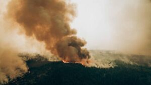 Canicule en Europe: un incendie de forêt en Catalogne menace la France