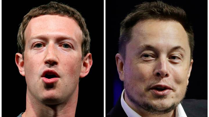 Le combat de MMA entre Zuckerberg et Musk sera diffusé en direct sur X