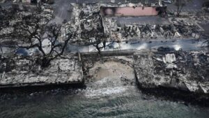 Le bilan des feux de forêt sur l'île de Hawaï s'alourdit à 53 morts