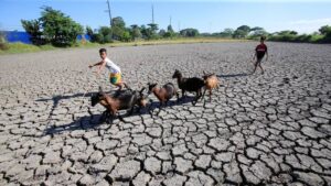 Quelles sont les répercussions du phénomène El Niño ?