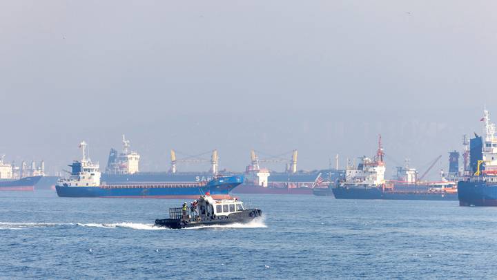 Un navire porte-conteneurs qui a pris la mer depuis le port d'Odessa a atteint le détroit d'Istanbul