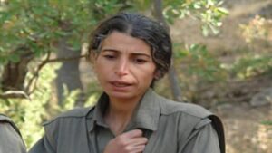 Türkiye: Le MIT neutralise Zülfiye Binbir, qui gérait le trafic d'argent du PKK/YPG