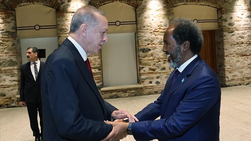 Erdogan et son homologue somalien discutent des attaques israéliennes contre les Palestiniens